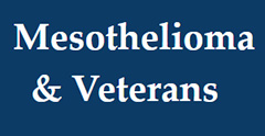 Veterans and Mesothelioma Guide